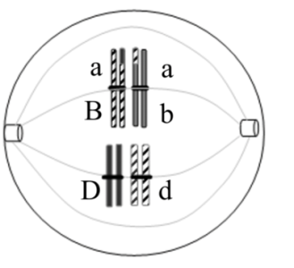 image5.png image5.png