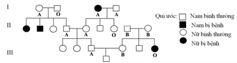 image3.png image3.png