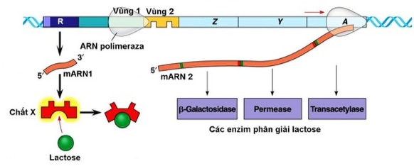 image4.png image4.png