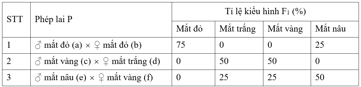 image6.png image6.png