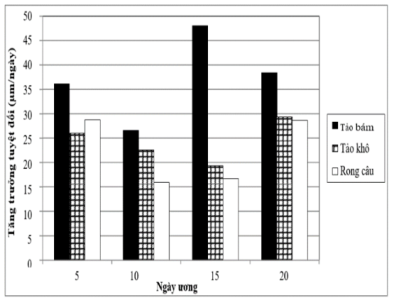 image2.png image2.png
