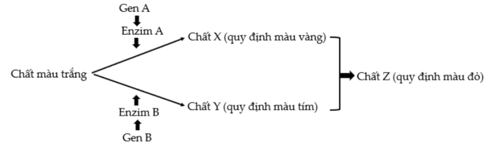 image3.png image3.png