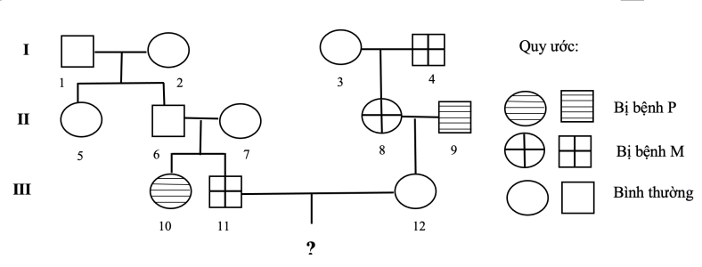 image1.png image1.png