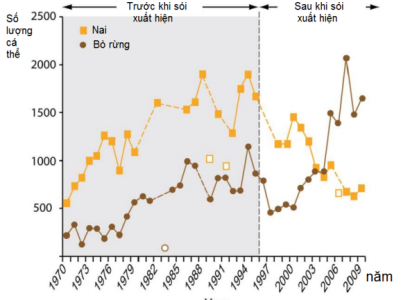 image2.png image2.png