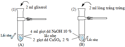 image1.png image1.png