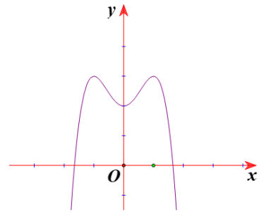 image1.png