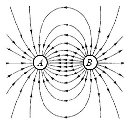 image1.png