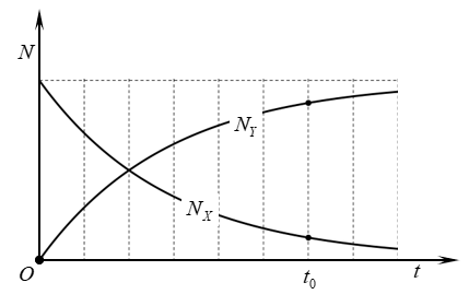 image6.png