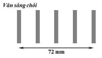 image6.png