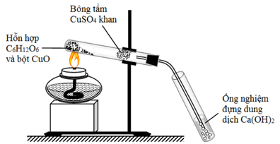 image1.png image1.png