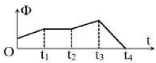 image1.jpg