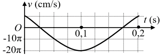 image3.png