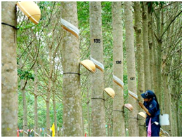 image2.png image2.png