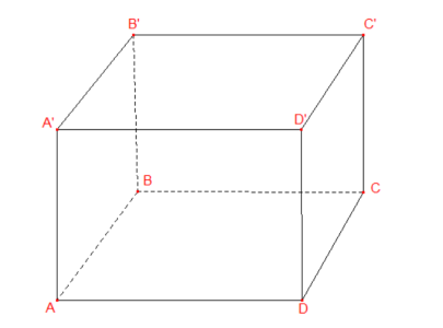 image11.png