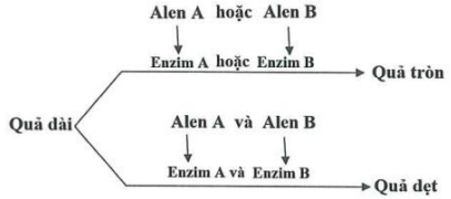 image3.png image3.png