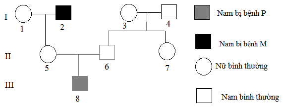 image1.png image1.png