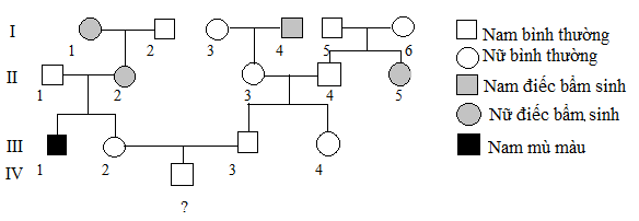 image1.png image1.png