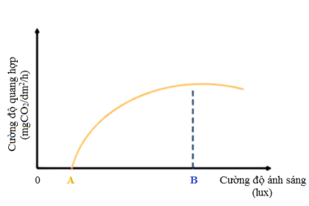 image3.png image3.png