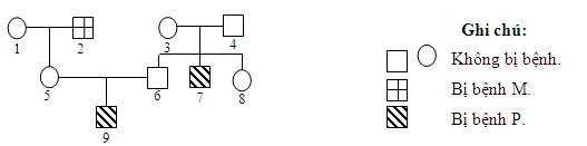 image2.png image2.png