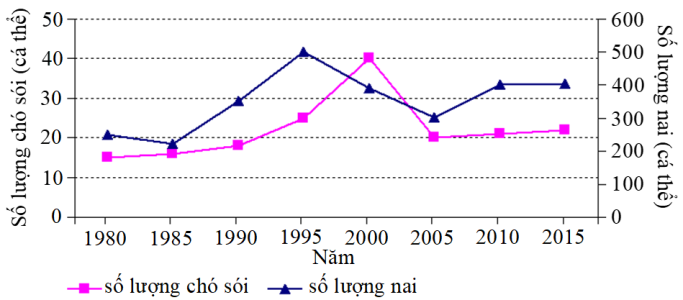 image3.png image3.png