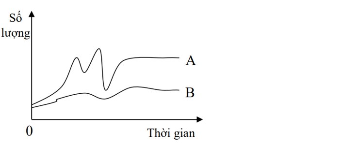 image4.png image4.png