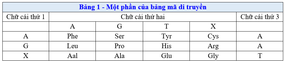 image5.png image5.png