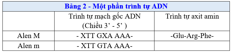 image6.png image6.png