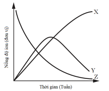 image1.png image1.png