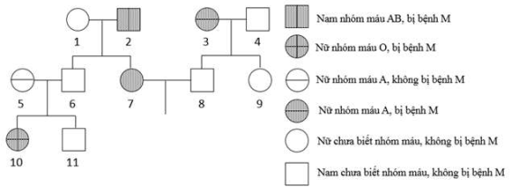 image4.png image4.png