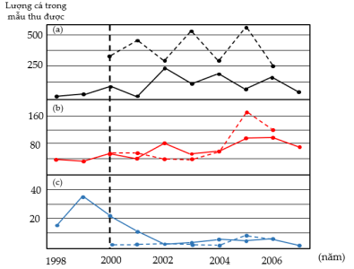 image6.png image6.png