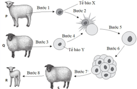 1681177268067.png 1681177268067.png