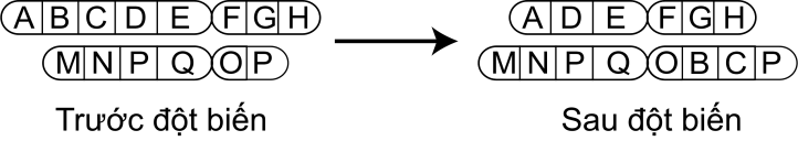 image1.png image1.png