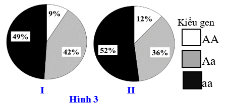 image3.png image3.png