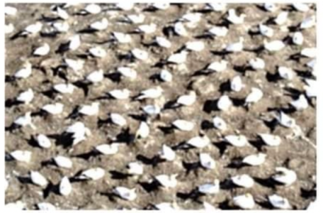 image5.png image5.png