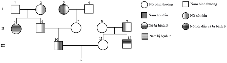 image4.png image4.png