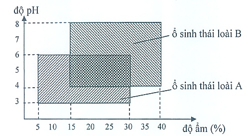 image5.png image5.png