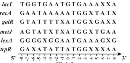 image6.png image6.png