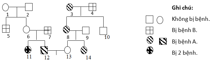 image4.png image4.png