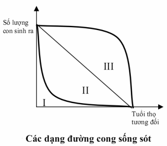 image5.png image5.png