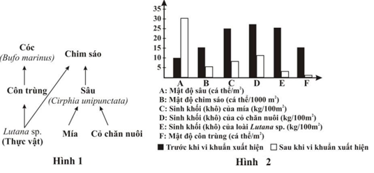 image5.png image5.png