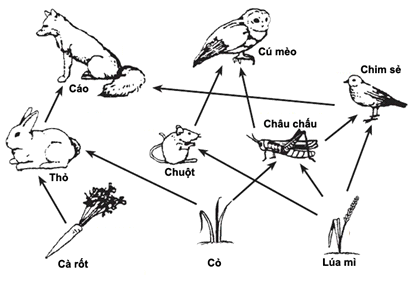 image5.png image5.png