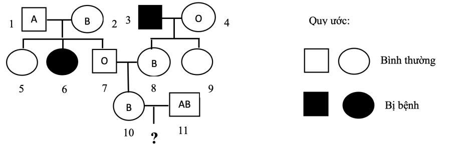 image2.png image2.png