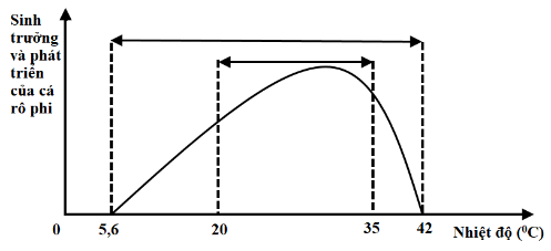 image3.png image3.png