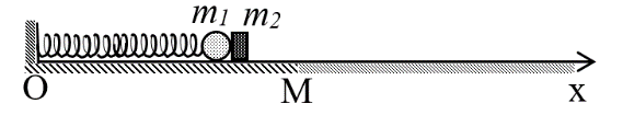 image3.png