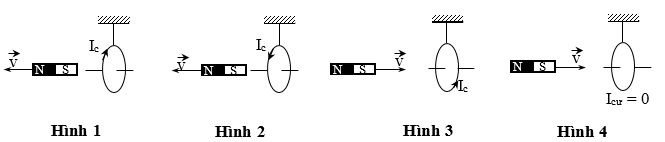 image1.png