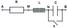 image1.png