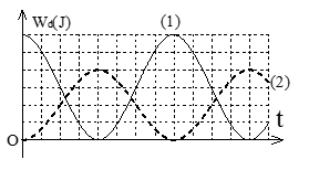 image5.png