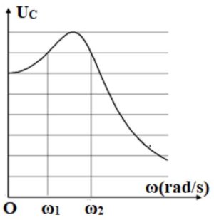 image2.jpg