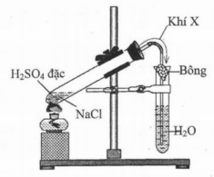 image1.png image1.png