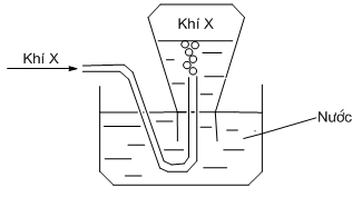 image2.png image2.png